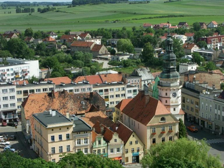 Zamek Otmuchow Bagian luar foto