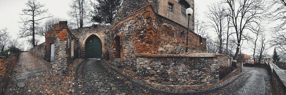 Zamek Otmuchow Bagian luar foto