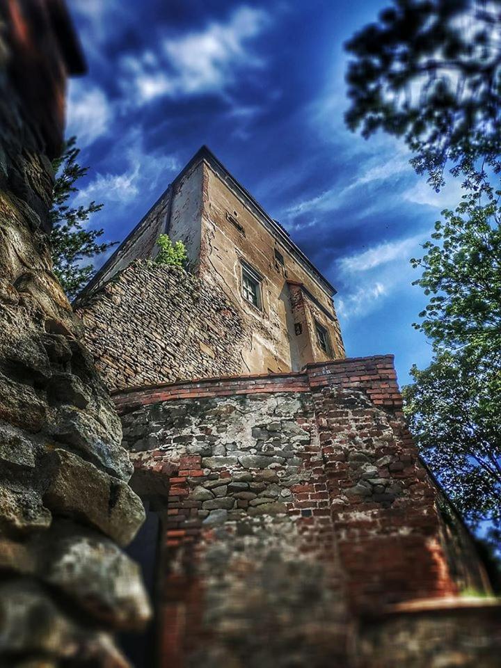 Zamek Otmuchow Bagian luar foto