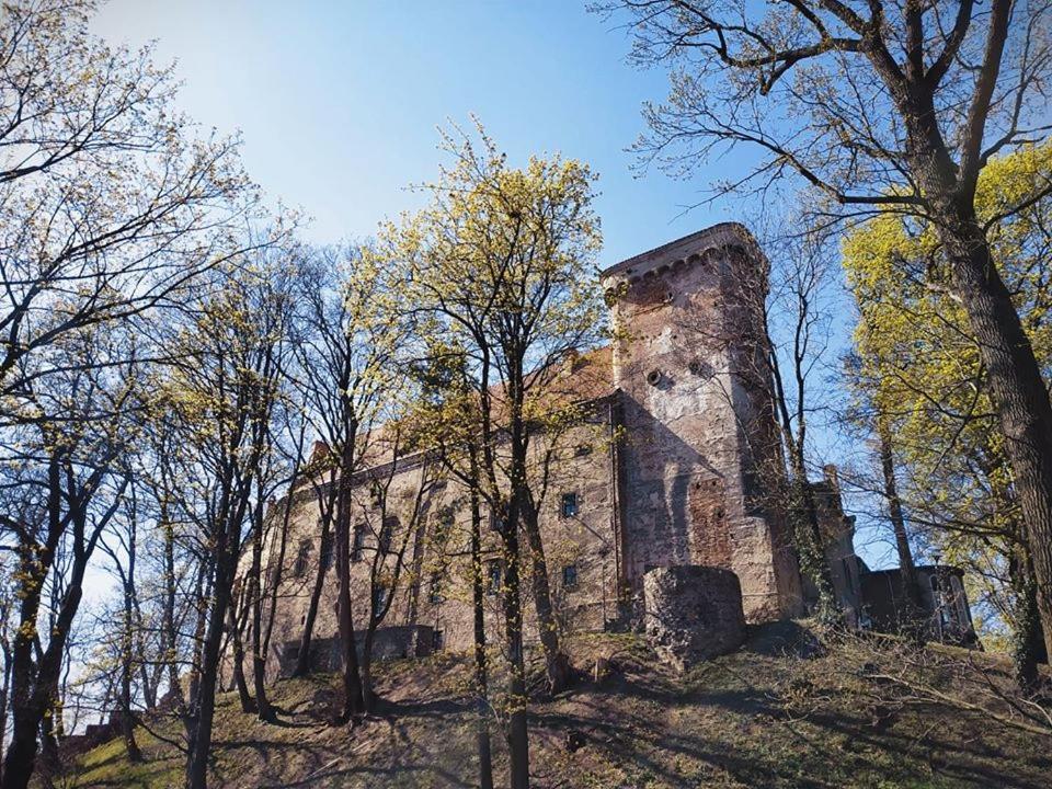 Zamek Otmuchow Bagian luar foto