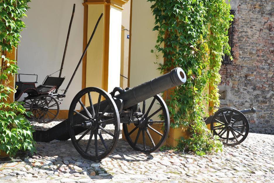 Zamek Otmuchow Bagian luar foto